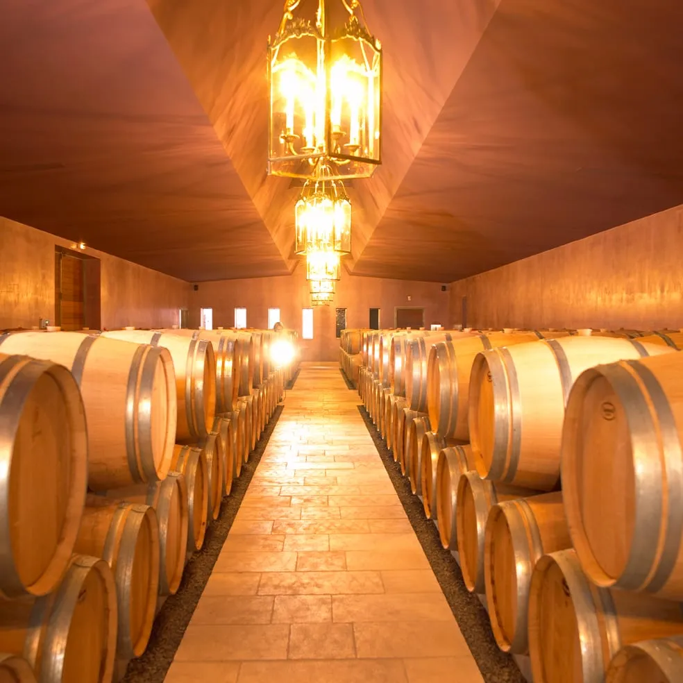 Barriques dans le chai du château de Lussac, au cœur de l'appellation