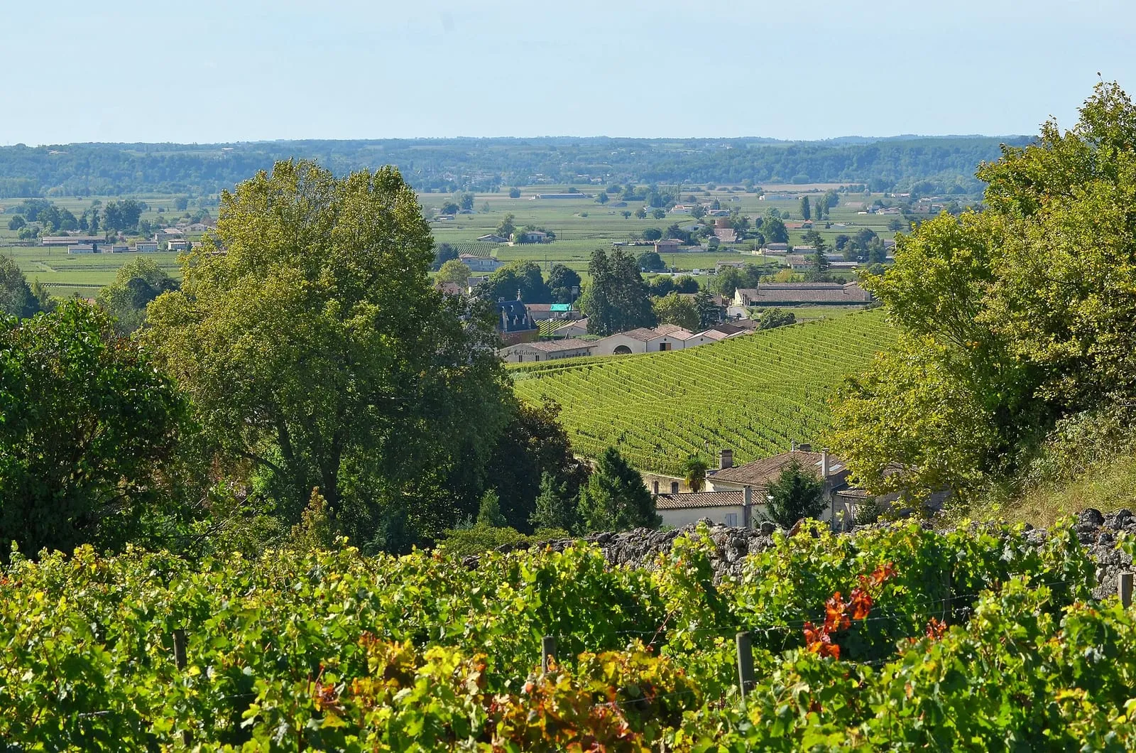 Le vignoble de la région de Saint-Émilion vu depuis les coteaux