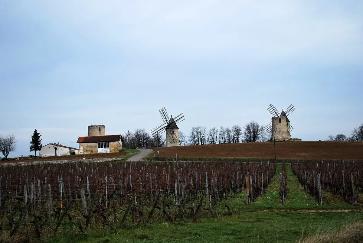 Les moulins de Calon à Montagne, anciens moulins à vent du Lussacois