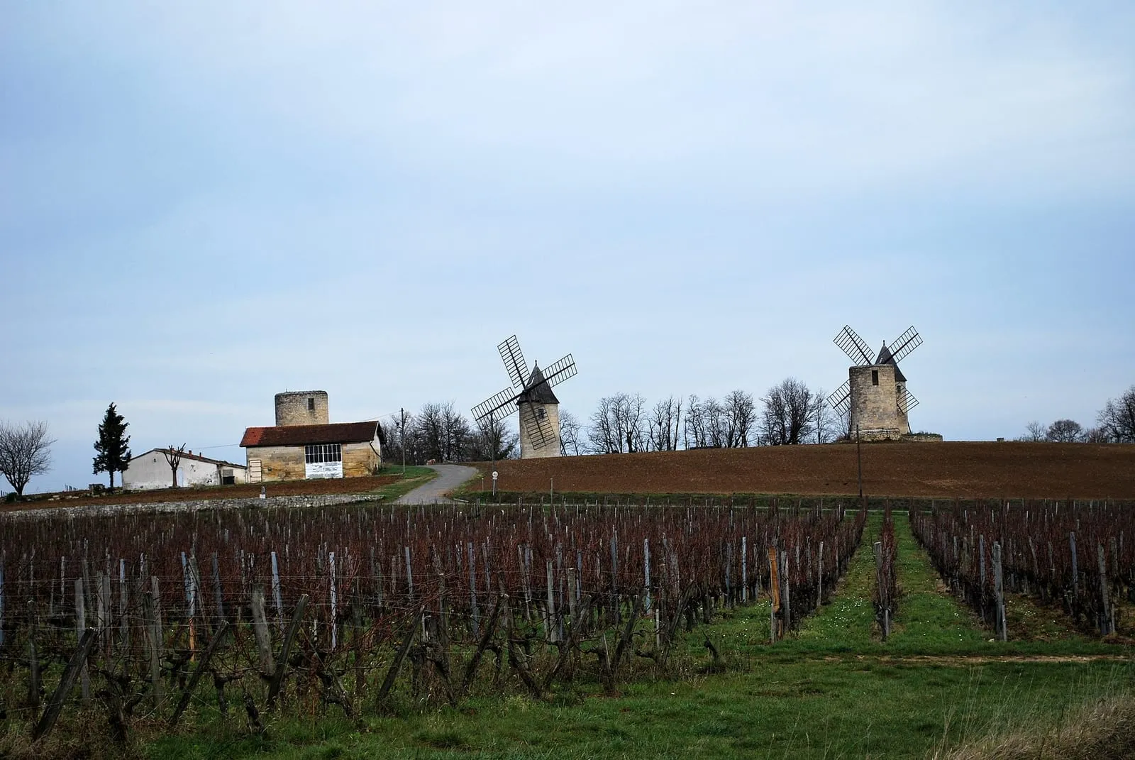 Les moulins de Calon à Montagne, anciens moulins à vent du Lussacois