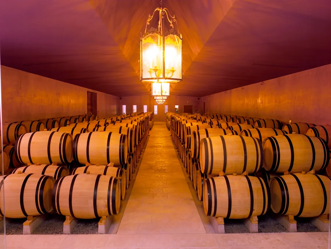 Barriques de chêne dans le chai du château de Lussac